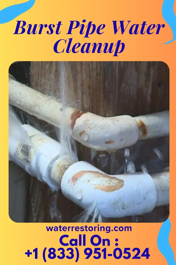 Burst Pipe Water Cleanup in Clinton, MN