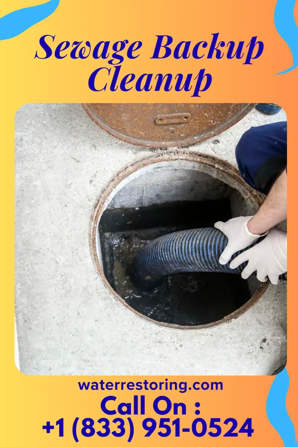 Sewage Backup Cleanup in Clinton, MN