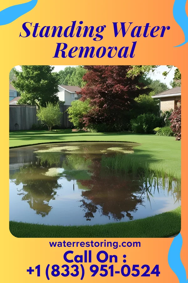 Standing Water Removal in Clinton, MN